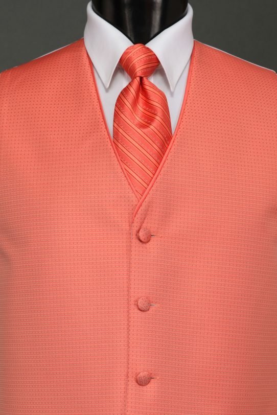 Vests Palm Beach Coral Sterling Vest – Striped Tie | Savvi Formalwear